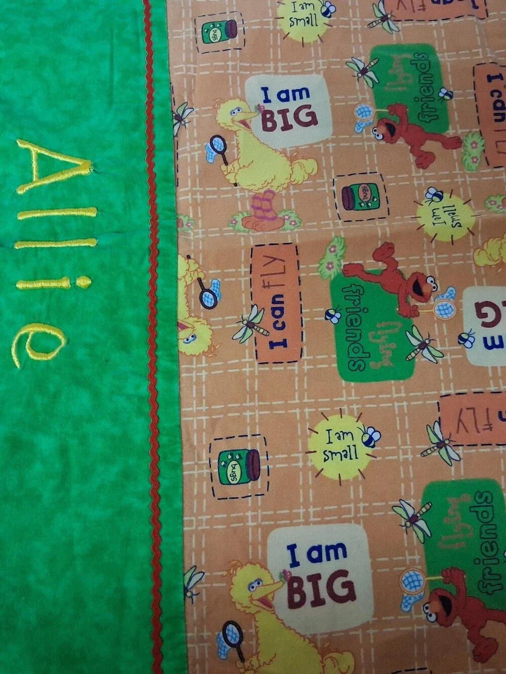 Sesame Street Standard Size Pillowcase
